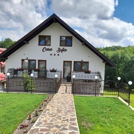 Casa Sofia Διαμέρισμα Baltatesti Εξωτερικό φωτογραφία