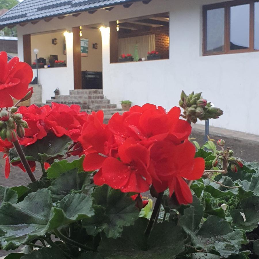 Casa Sofia Διαμέρισμα Baltatesti Εξωτερικό φωτογραφία