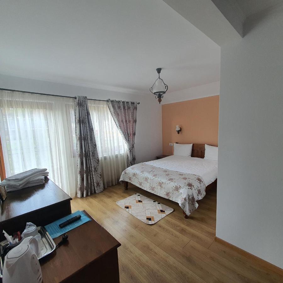 Casa Sofia Διαμέρισμα Baltatesti Εξωτερικό φωτογραφία